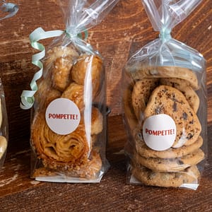 Mini Palmier